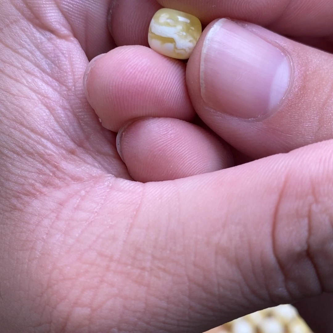 H***i蜜蜡未镶嵌裸石配饰