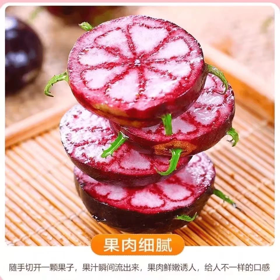 新鲜红果参云南算盘果蜘蛛果当季现摘特大果稀罕见稀奇珍惜水果