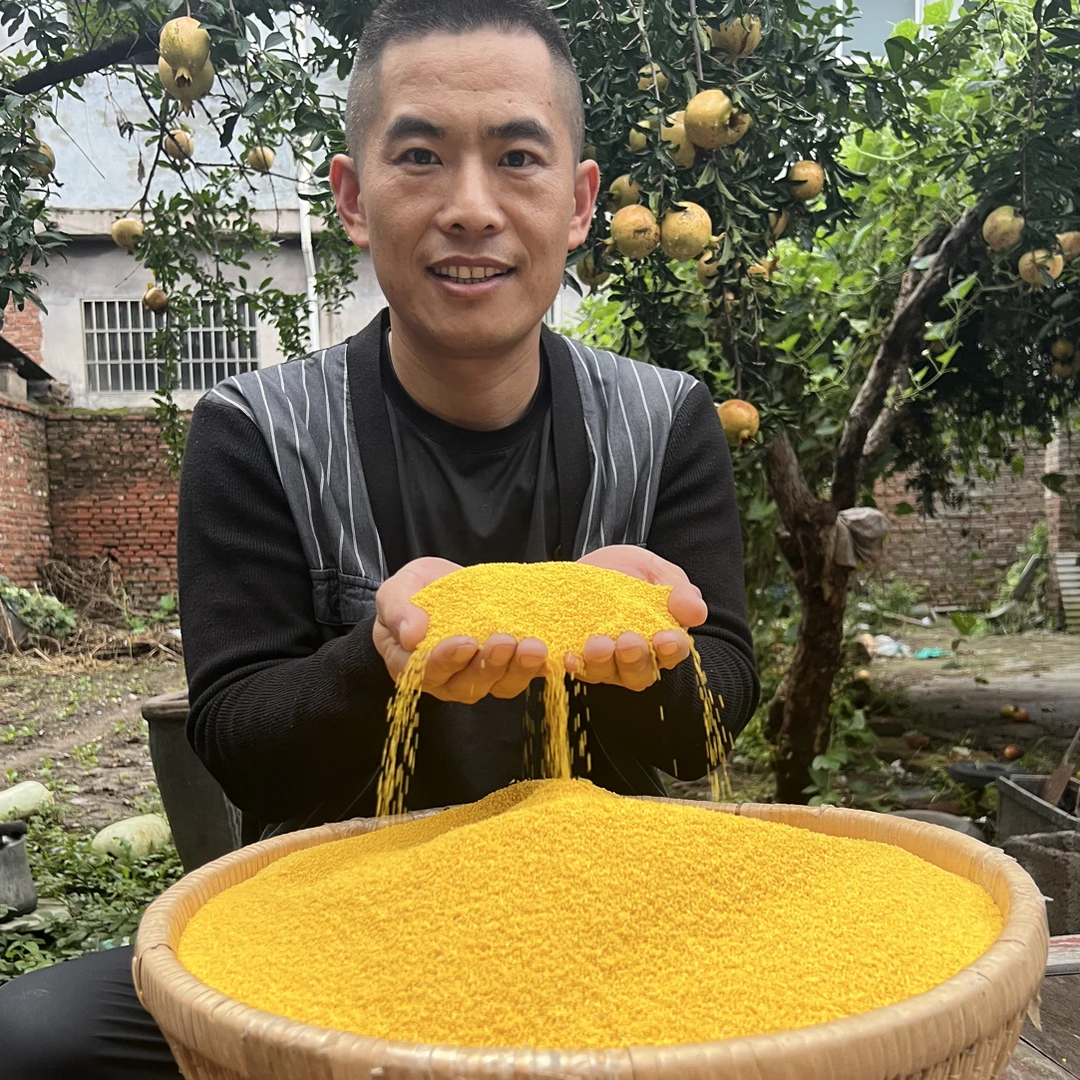 新米浓厚香糯新小米糯小米农家小米熬粥专用小米自种月子小米粥