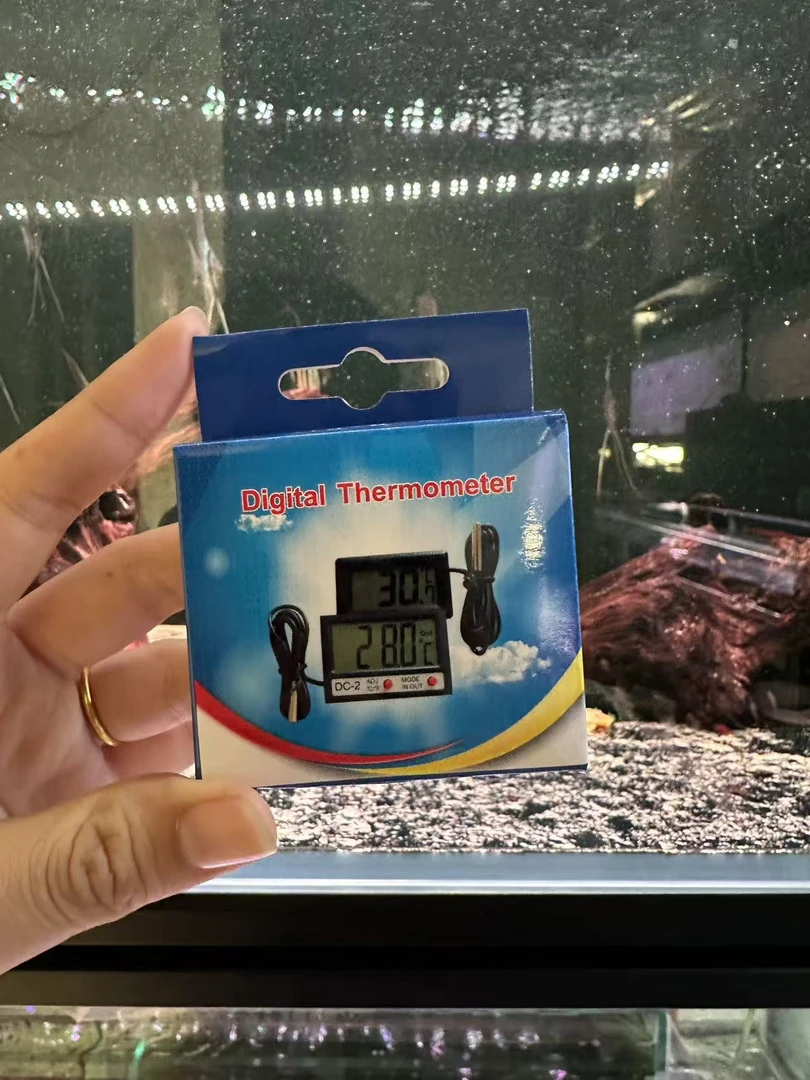 温度计1个体验卡  小型鱼饲料（需单场直播拼够3单随单发货）