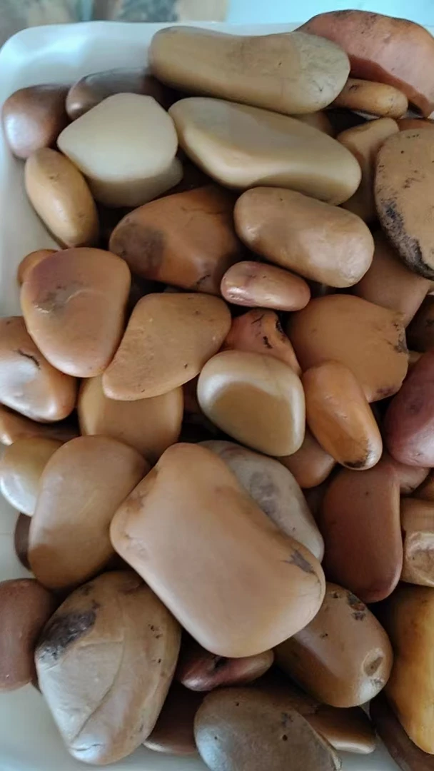 直播间链接新疆五彩石盆景石把玩石