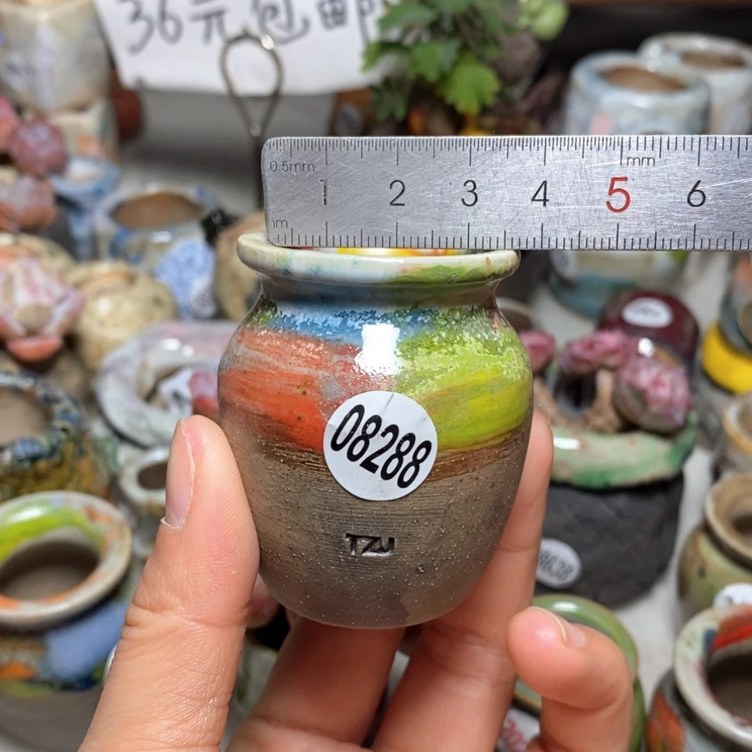 花盆拍5送一个小礼物