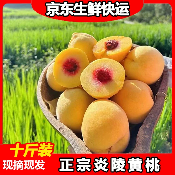 【正宗炎陵黄桃】京东快递现摘现发锦绣黄桃新鲜水果10斤装
