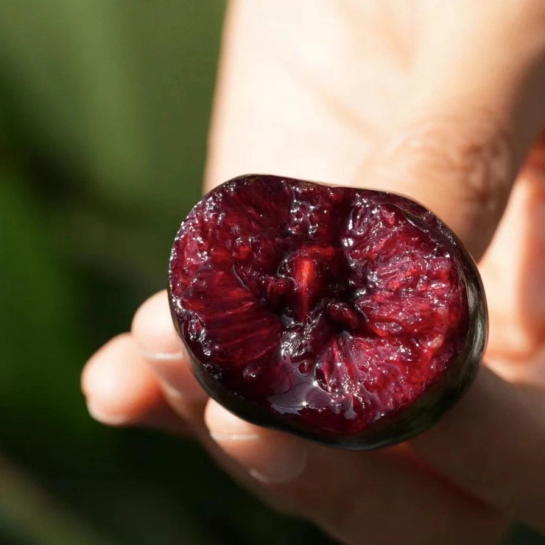 天水俄罗斯8号樱桃 脆甜多汁 风味浓郁