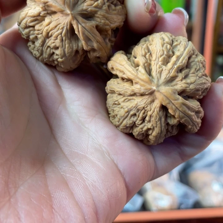 文玩核桃把件41大粗筋88