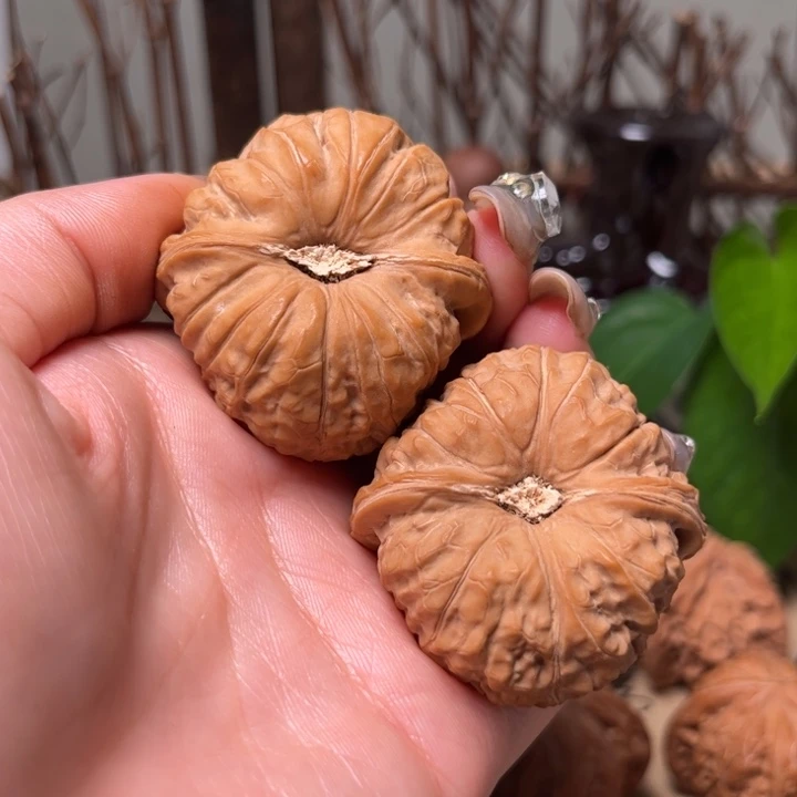 44凹底南瓜墩核桃