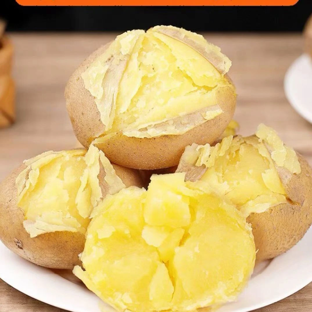 云南特产黄皮黄心沙糯粉面土豆现挖土豆新鲜现发