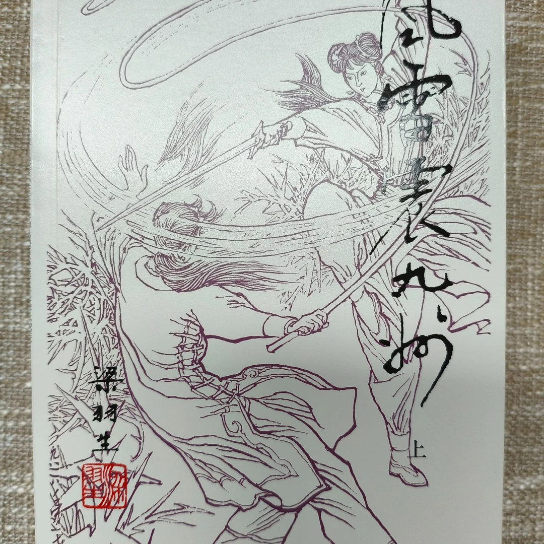【库存书】新版 风雷震九州 梁羽生小说 外观瑕疵介意慎拍