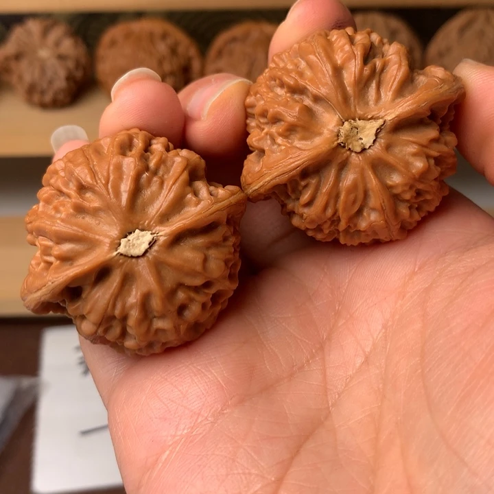 北***度宫灯3只以上不变颜色