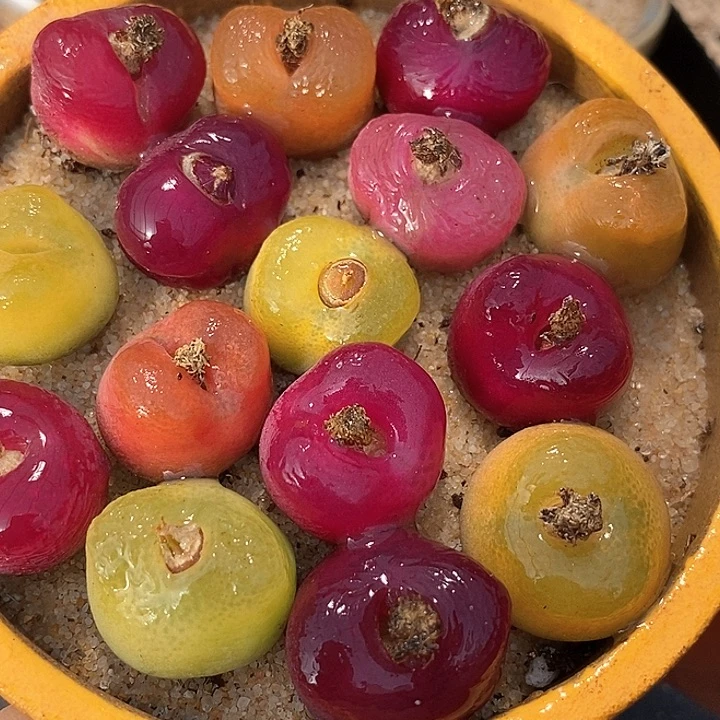 彩色桃子一颗    1.8-2厘米