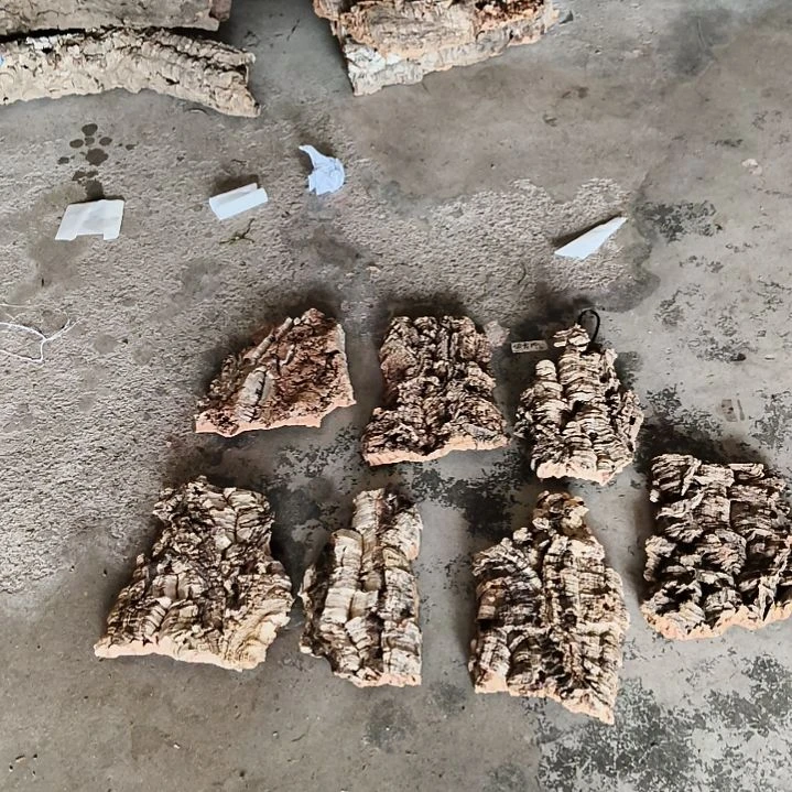 一物一拍一物一发