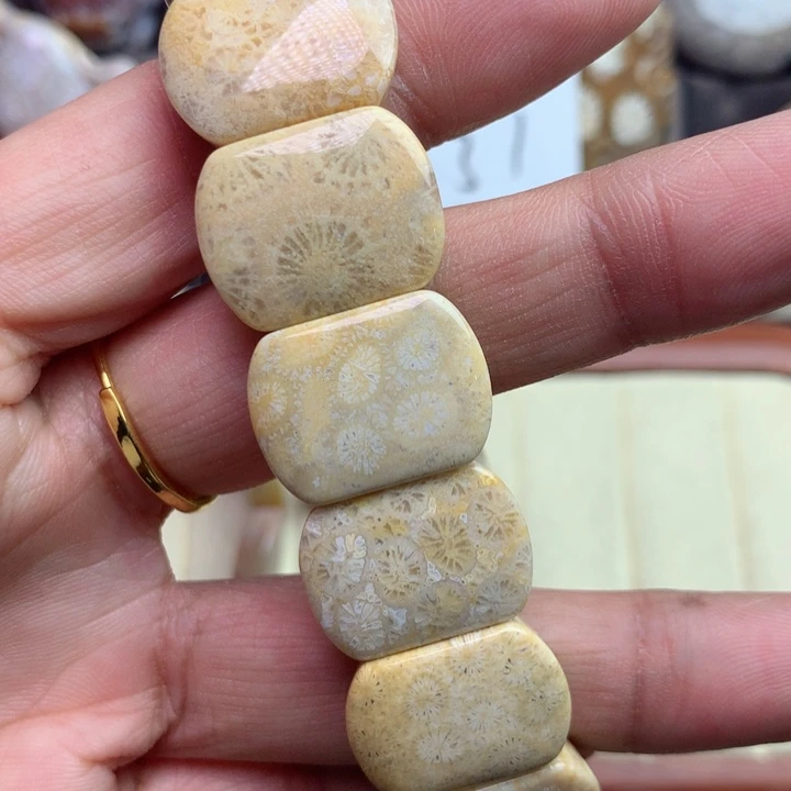 硅化珊瑚（珊瑚玉）颈饰未镶嵌