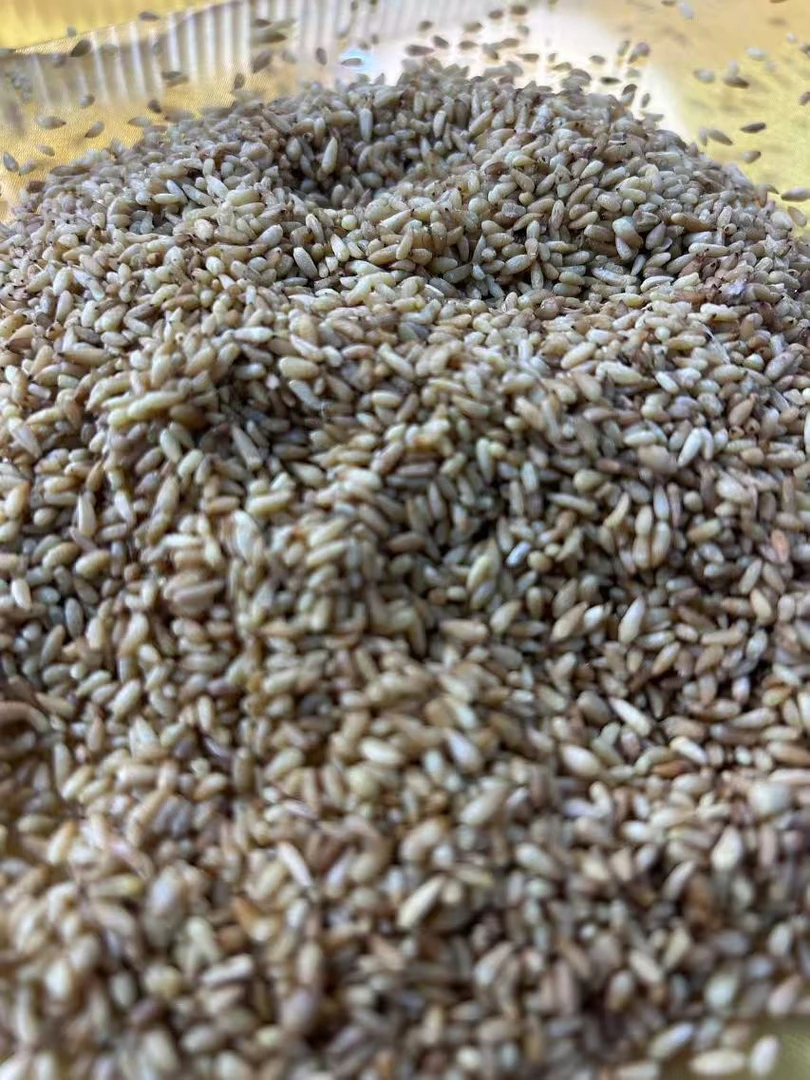 【柏子仁】可搭配红枣