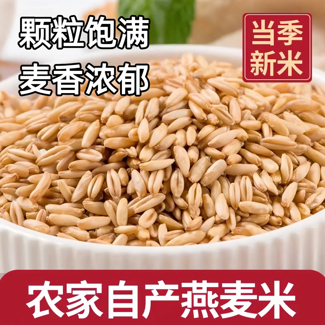 全胚芽燕麦米裸燕麦燕麦仁燕麦粒五谷杂粮纤长饱满色泽剔透高饱腹