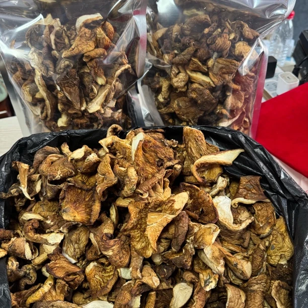 【长白山野生元蘑】冻蘑 老农采摘 自然晾晒 新蘑菇下山 菌香浓郁