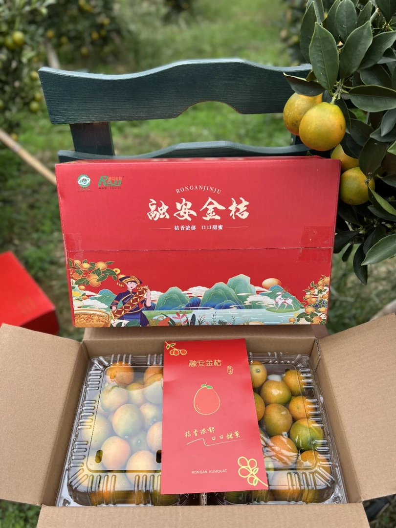 融安金桔【顺丰】第二代滑皮金桔3斤超值款