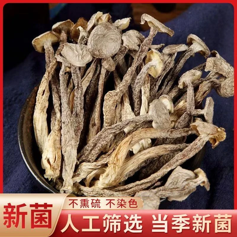 拍1发4 精选鹿茸菇干货鹿茸菇无硫菌菇古田特产净重煲汤好食材