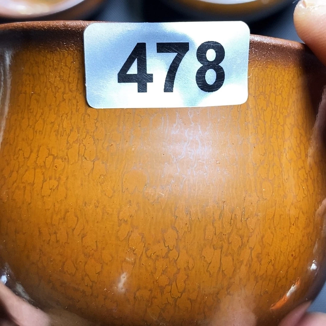 茶盏金**树通天龙窑通天龙窑