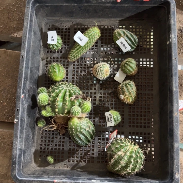 304筐拍不好无售后
