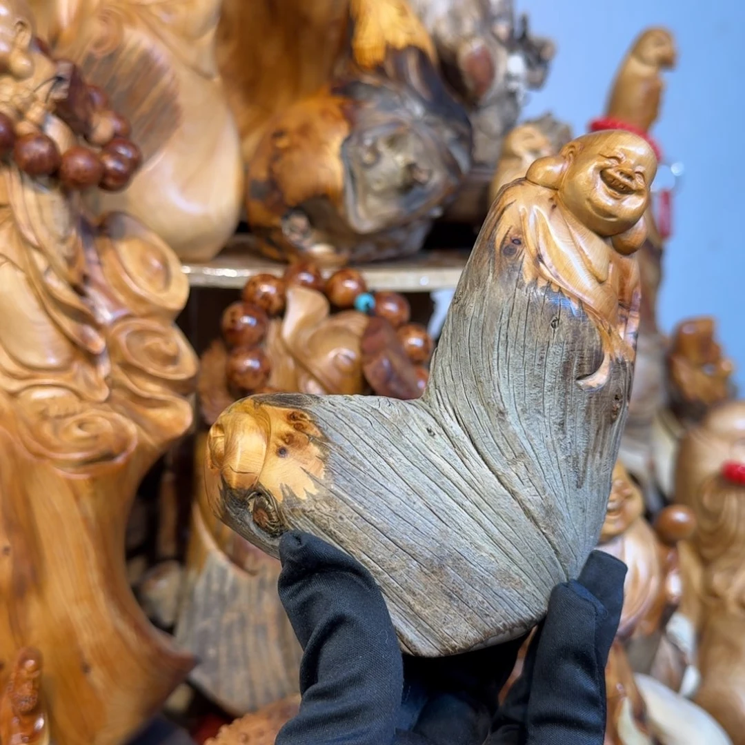 柏木（崖柏）66666666