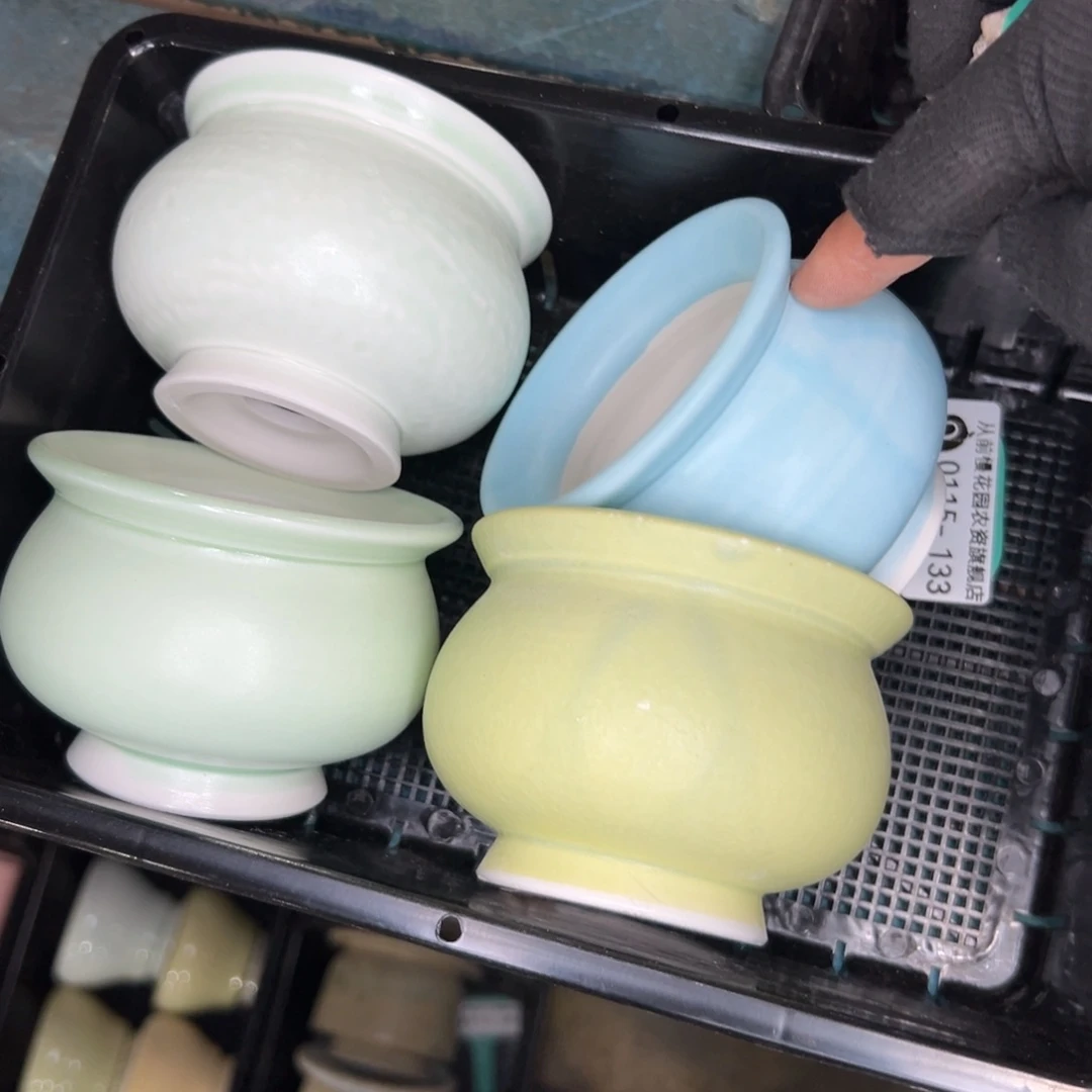 多肉精选编号0115.133