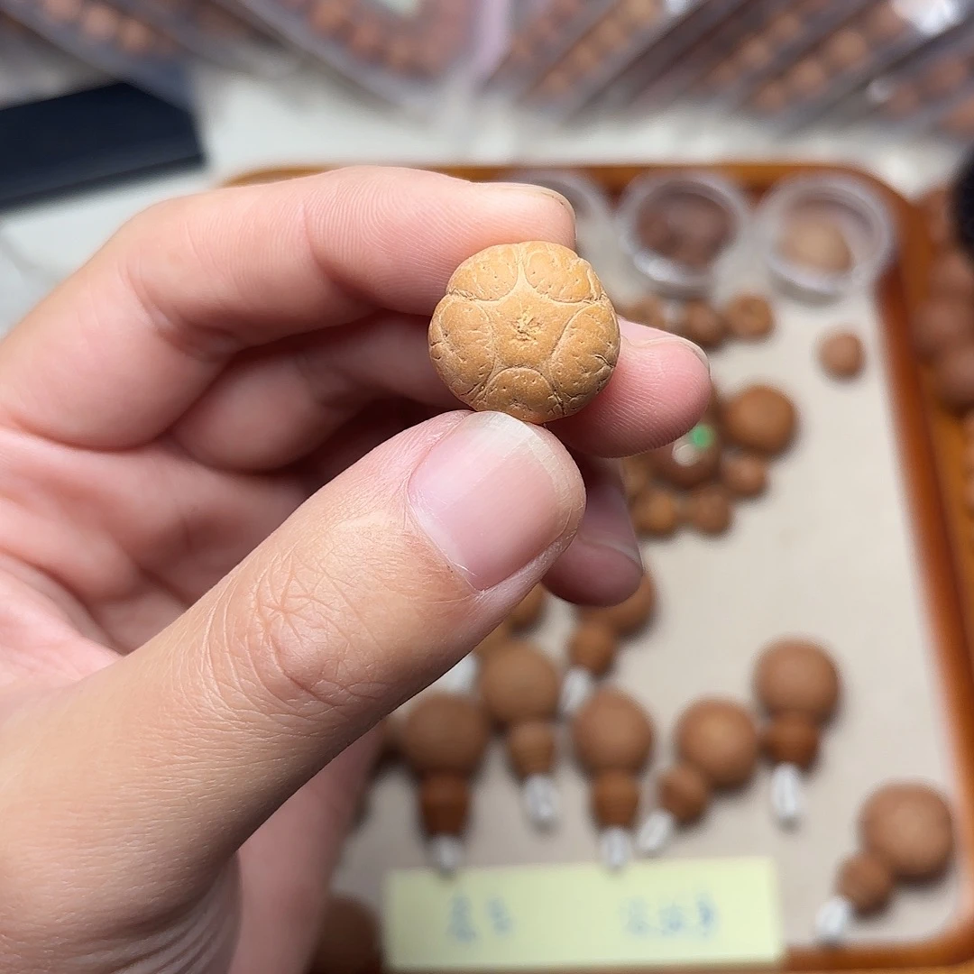 手串凤眼菩提五星三通18.5