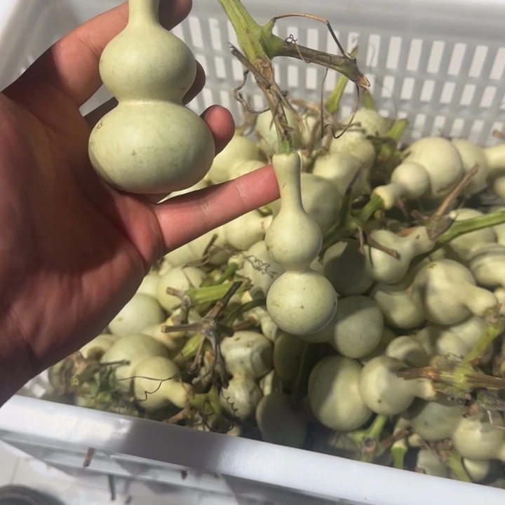 宇***6感谢大哥支持兄弟，不保成