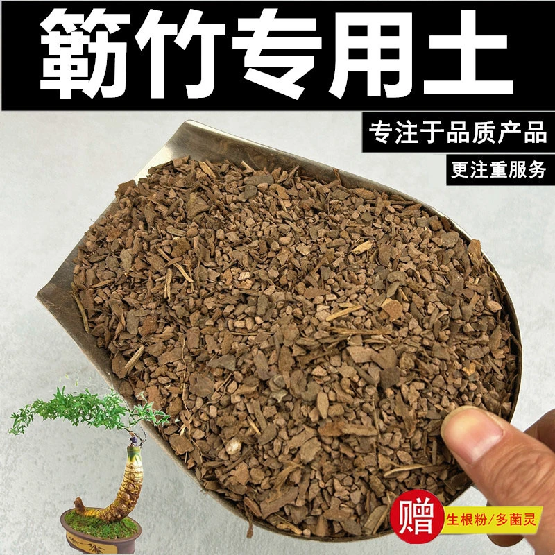 簕竹专用土营养土赤玉土盆栽土风化土种植土酸性土沙质土颗粒土