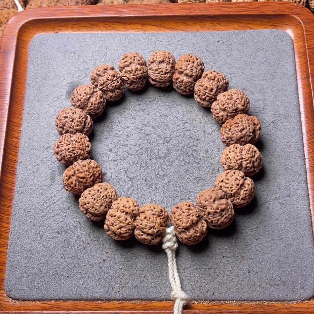 游***0菩提籽类30号金刚菩提矮壮满肉梅花20+