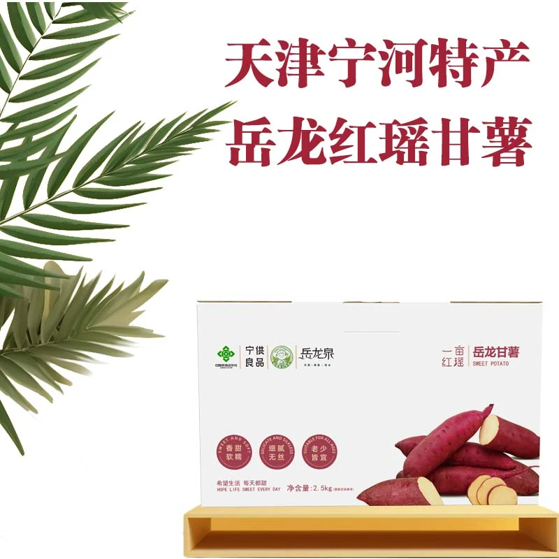 【宁供良品】正宗岳龙红瑶蜜薯约5斤（礼盒装）