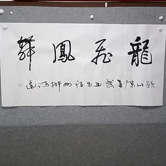 书法龙飞凤舞四尺整张书法作品
