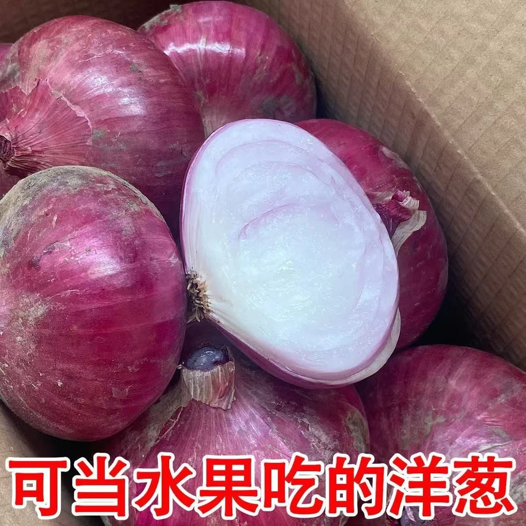 【买5斤送5斤】云南紫皮洋葱带箱10斤新鲜蔬菜甜味生吃时令圆葱