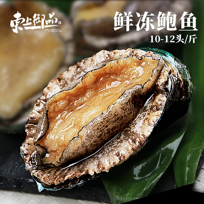 【东上御品】新鲜特大鲜活冷冻鲍鱼500g*2袋（10-12头/斤）