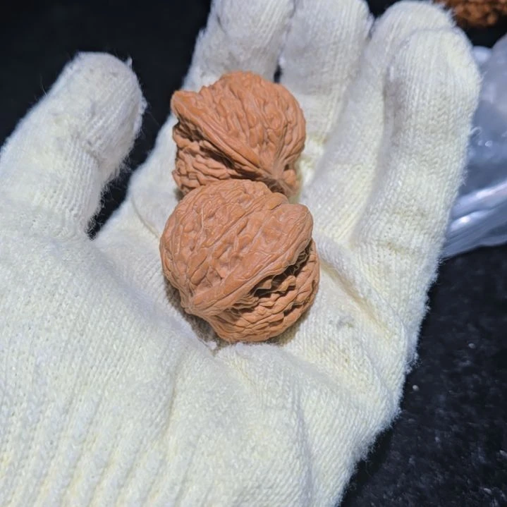 核桃哈哈哈哈哈哈哈
