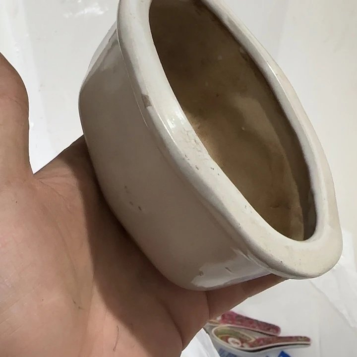 九****扇子姑姑和恍恍惚惚红红火火