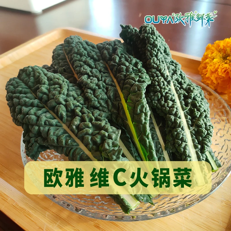 欧雅维C火锅菜，营养美味新品种蔬菜 一斤、两斤装
