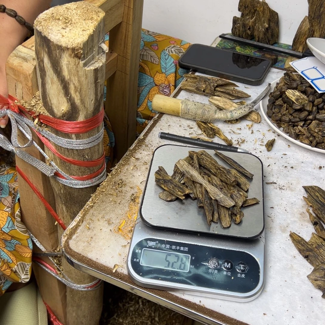 线香奇楠虫漏香50克