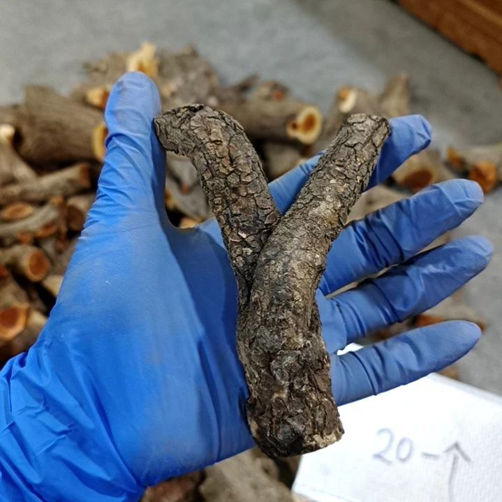 用***1香榧木麻梨疙瘩毛料毛料毛料