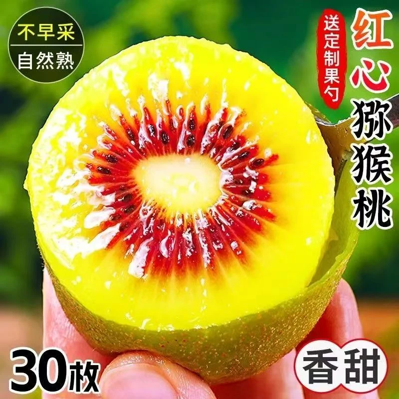 彩箱发货四川红心猕猴桃新鲜奇异果30枚装当季现摘蒲江弥猴桃水果