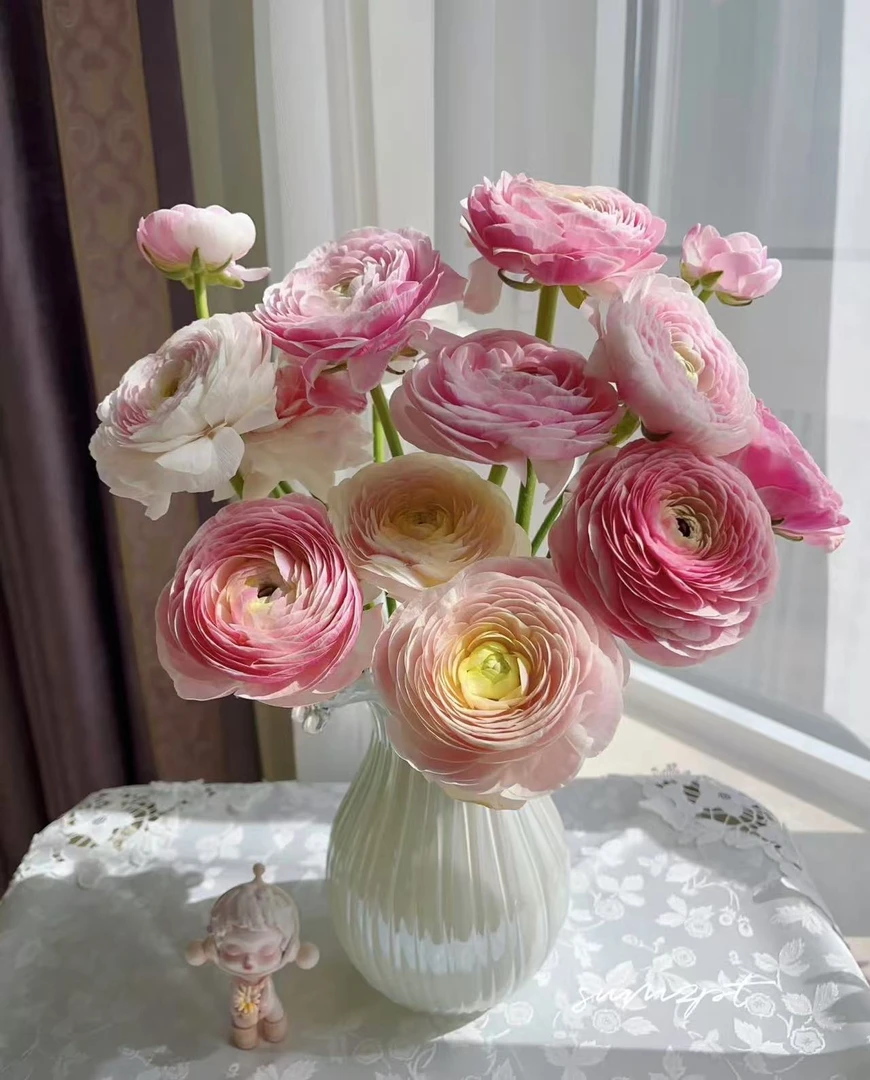 瓷洋牡丹10支--收到花先醒花，实物以直播间展示为准