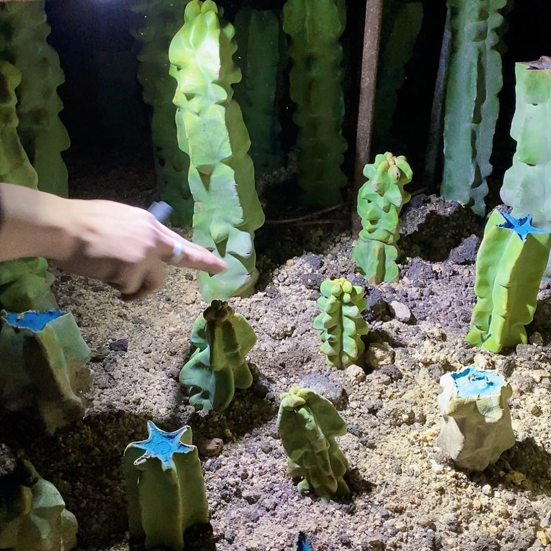 李*申无根上帝阁一颗，