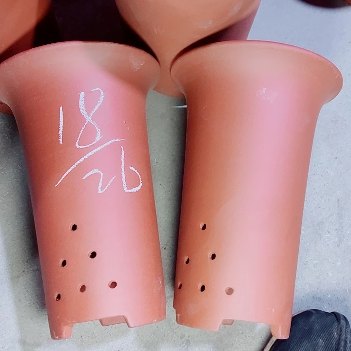 红陶紫砂紫砂紫砂