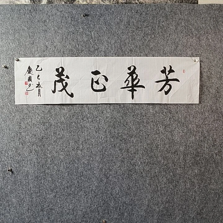 书法党老师四平芳华正茂
