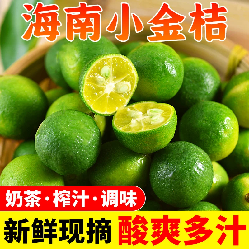 【新鲜采摘】正宗海南小金桔小青柠新鲜薄皮奶茶店专用小青桔批发