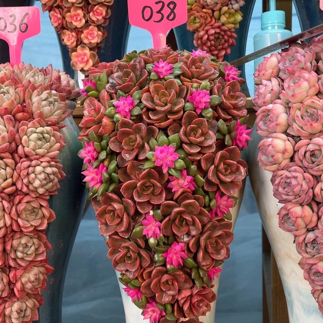 这个是038室内的