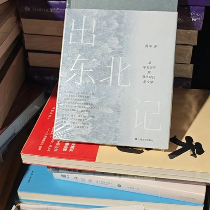 出东北记精装塑封全新