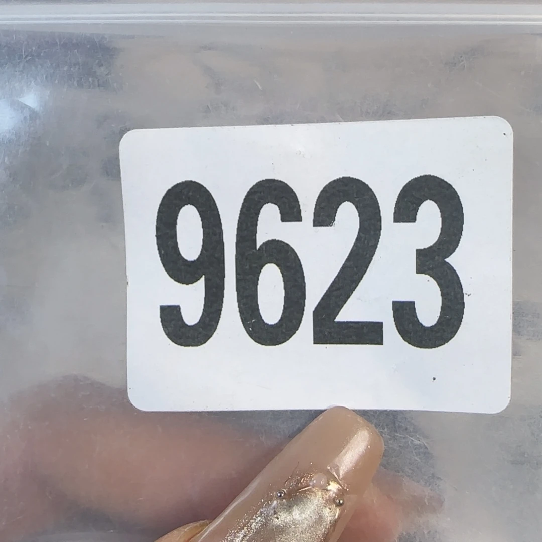 新号开播福利多多