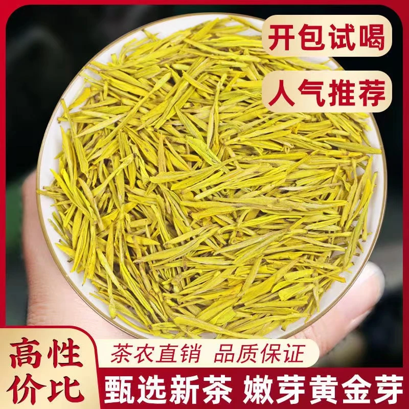 新茶（黄金芽）茶叶正宗浓香型绿茶豆香型性价比好茶