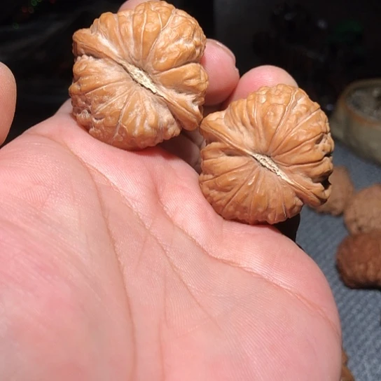 木边肚40南瓜炖柿子头