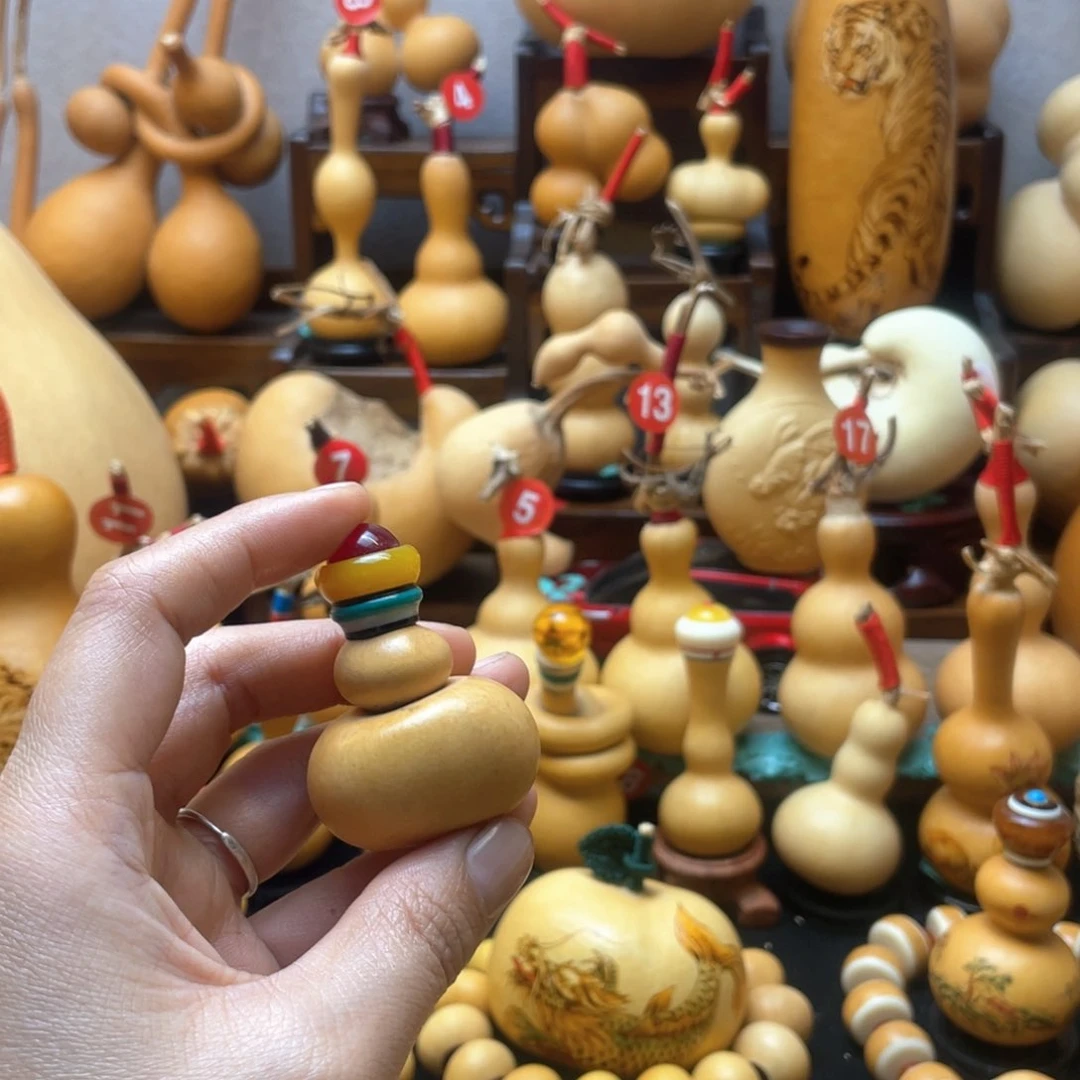 午****猫大自然的秘密第十一节你